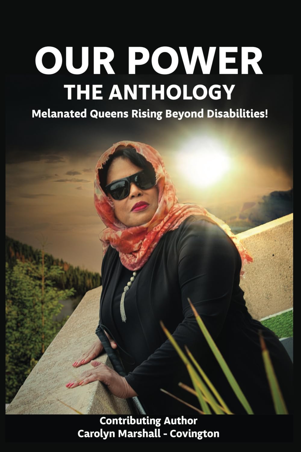 Our Power-The Anthology: Melanated Queens Rising Beyond Disabilities! Business, Finance & Career