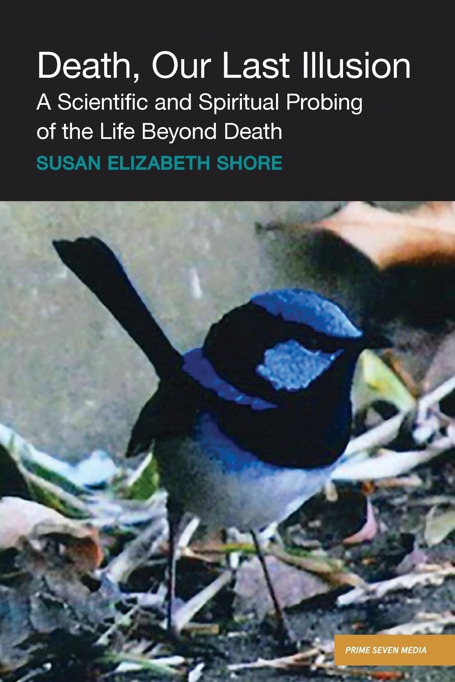 Death, Our Last Illusion: A Scientific and Spiritual Probing of the Life Beyond Death. Psychology