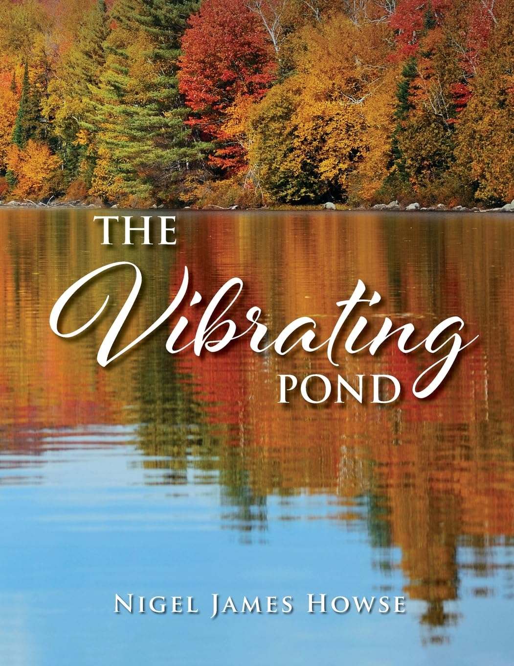 Product Image: The Vibrating Pond