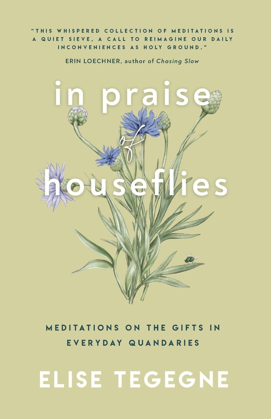 In Praise of Houseflies Religion & Esotericism
