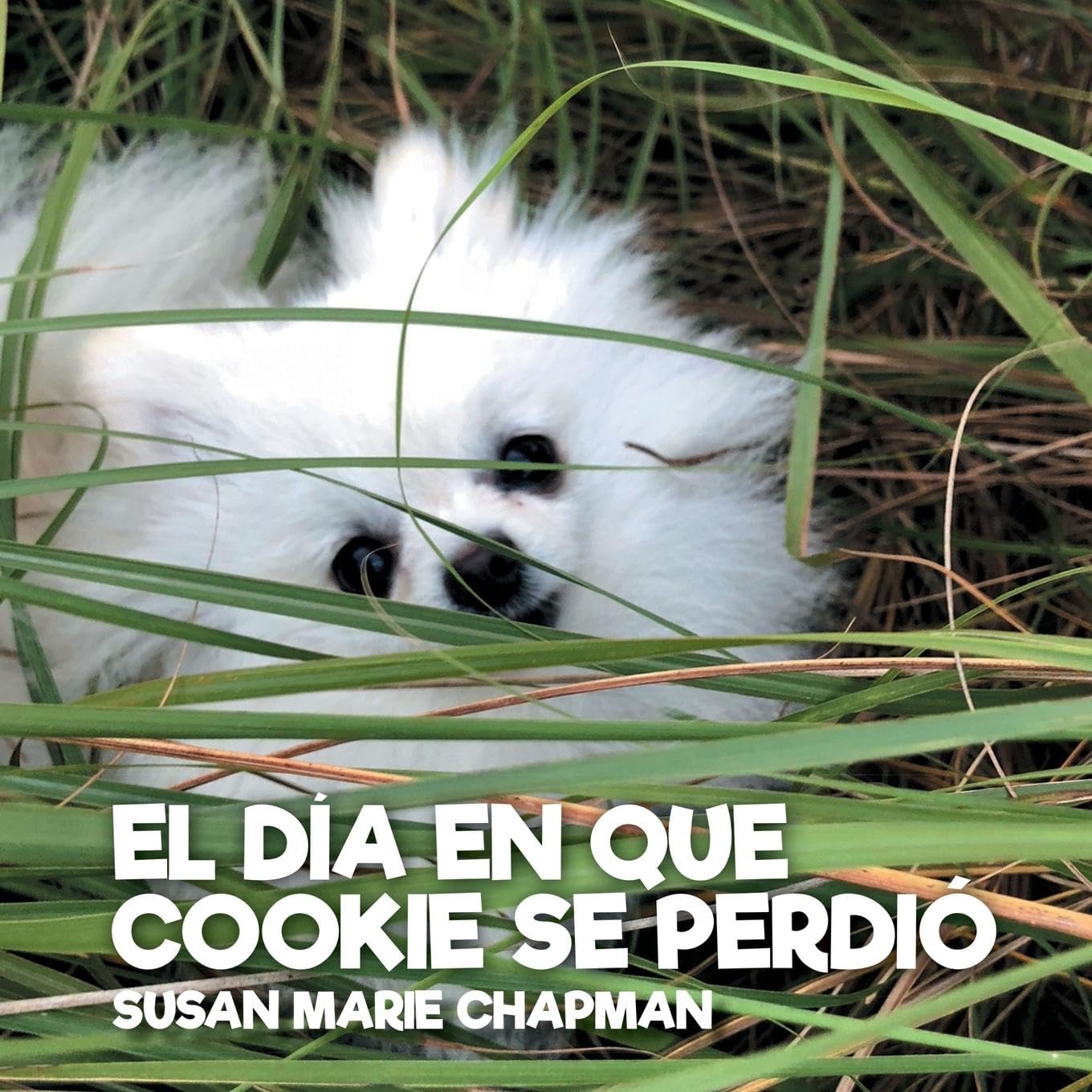 EL DÍA EN QUE COOKIE SE PERDIÓ Novels & Short Stories
