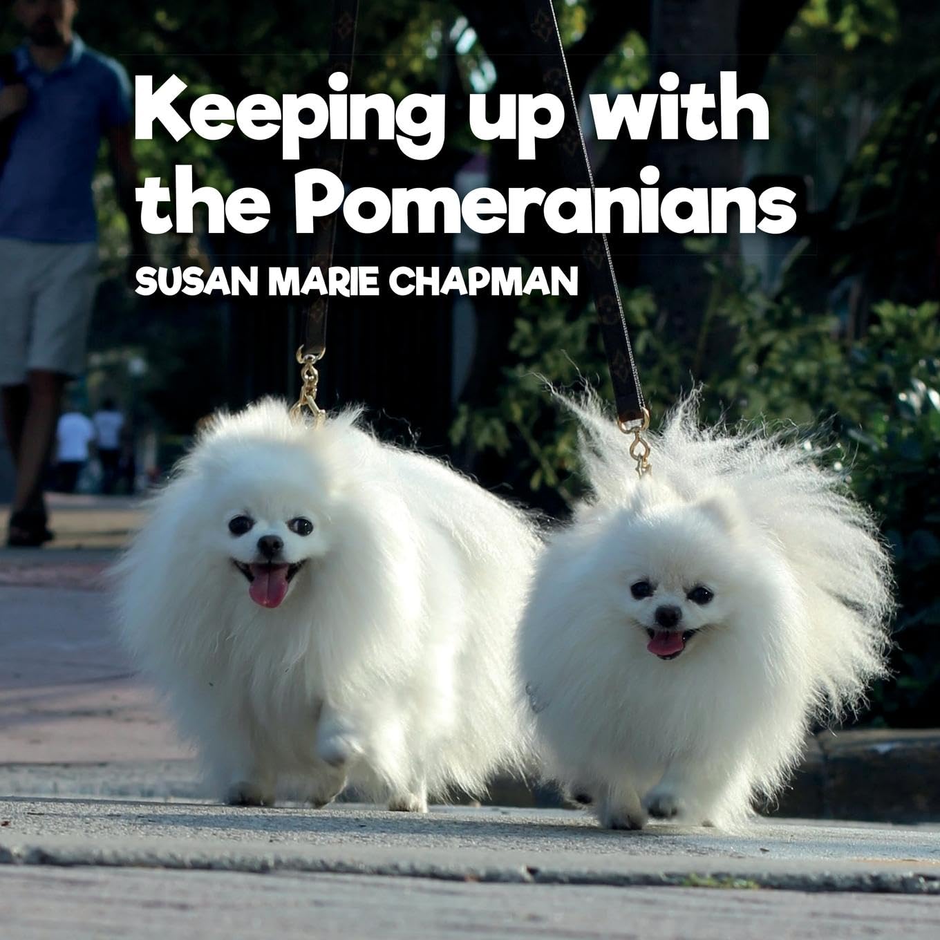 Keeping Up With The Pomeranians Pets