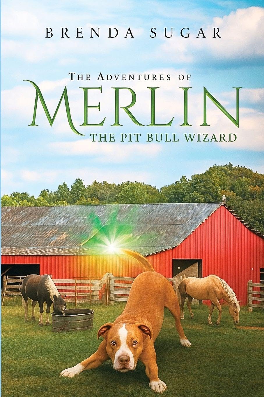 The Adventures of Merlin the Pit Bull Wizard Film, Art & Culture