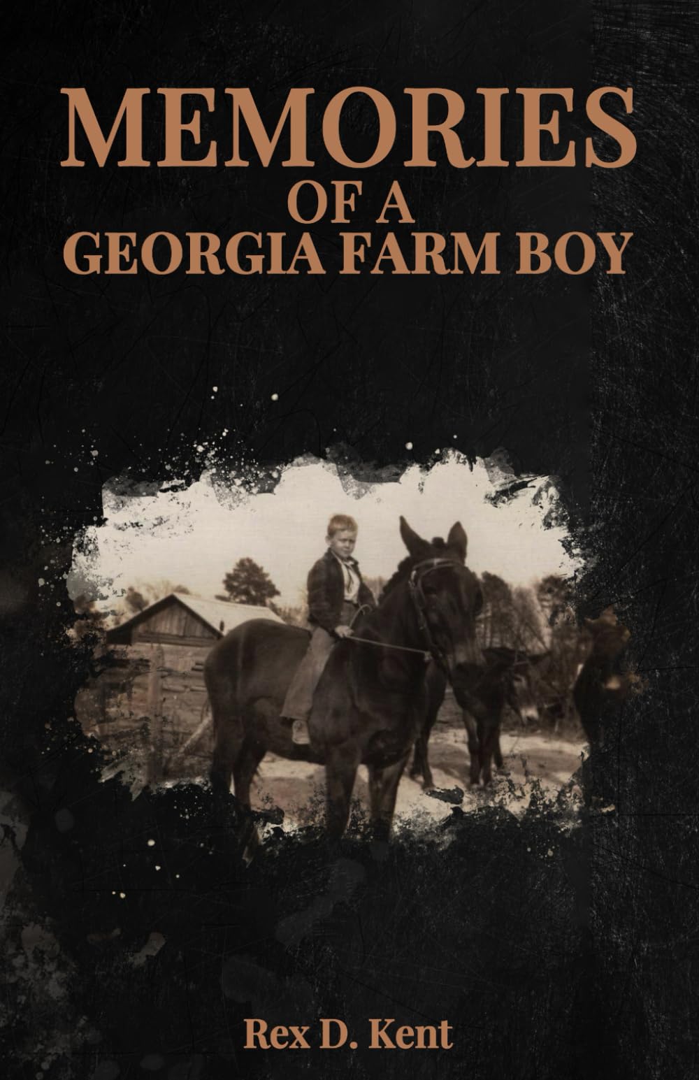 Memories of a Georgia Farm Boy Art & Literature