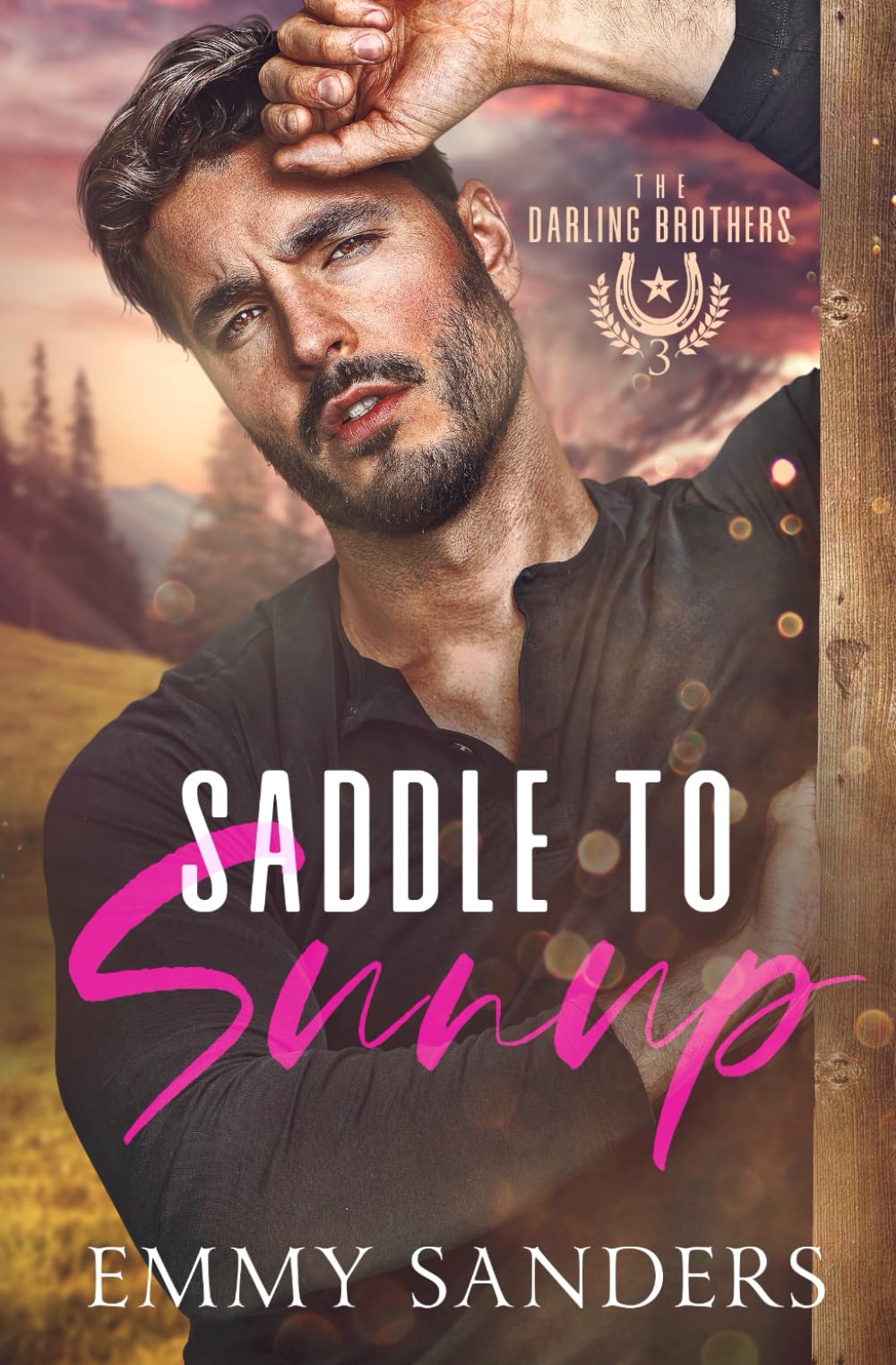 Saddle to Sunup (The Darling Brothers Book 3) LGBTQ+