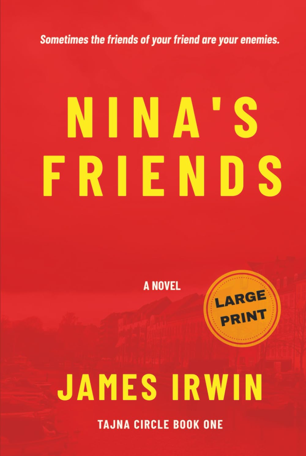 Nina's Friends (Large Print Edition) Action & Adventure