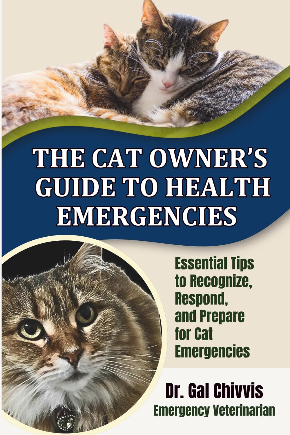 The Cat Owner's Guide to Health Emergencies Pets