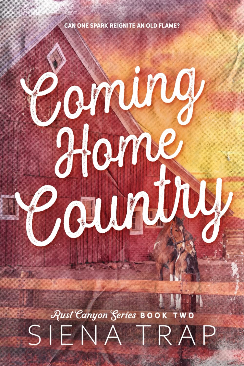 Coming Home Country: A Country Romance (Rust Canyon, Band 2) Contemporary literature