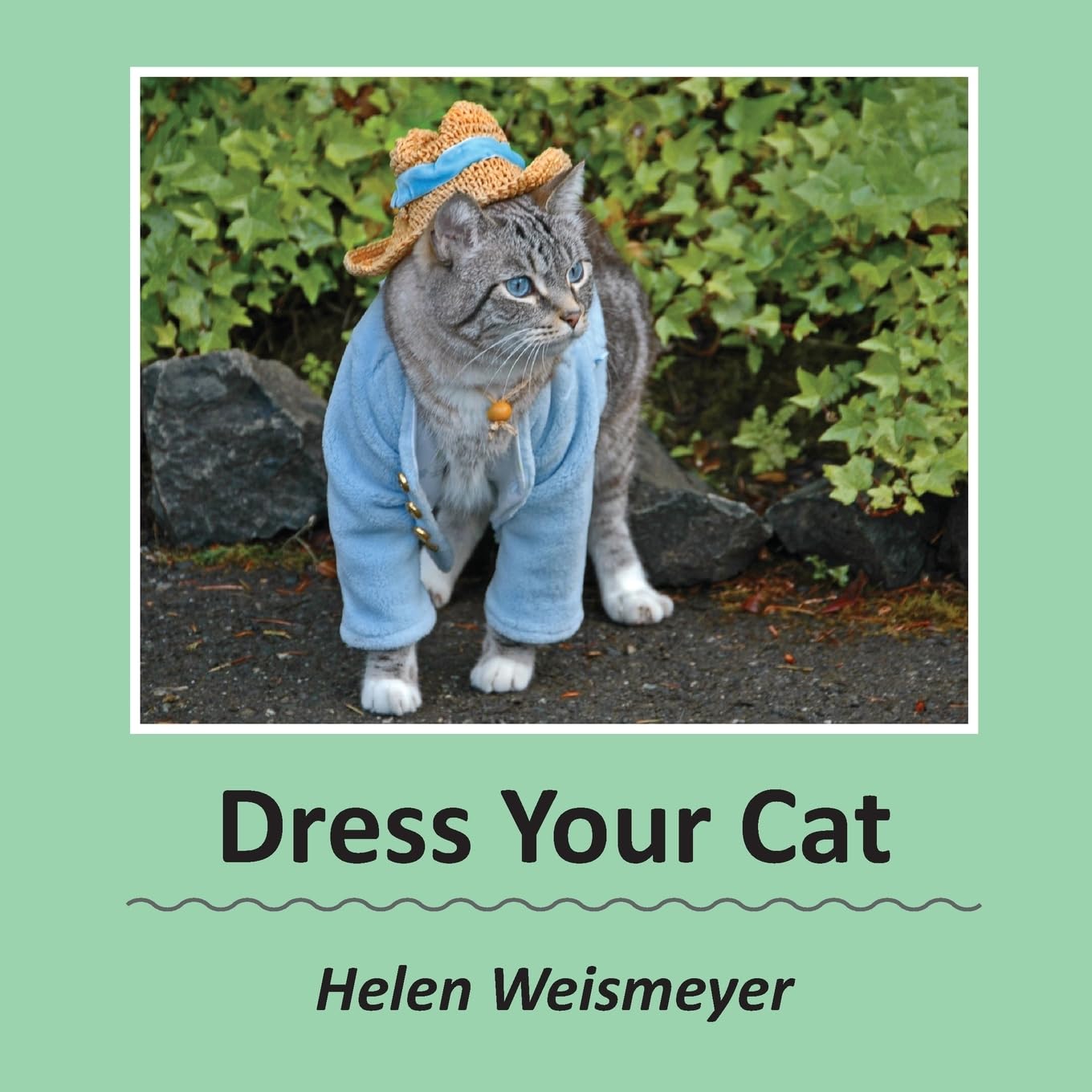 Dress Your Cat Photography