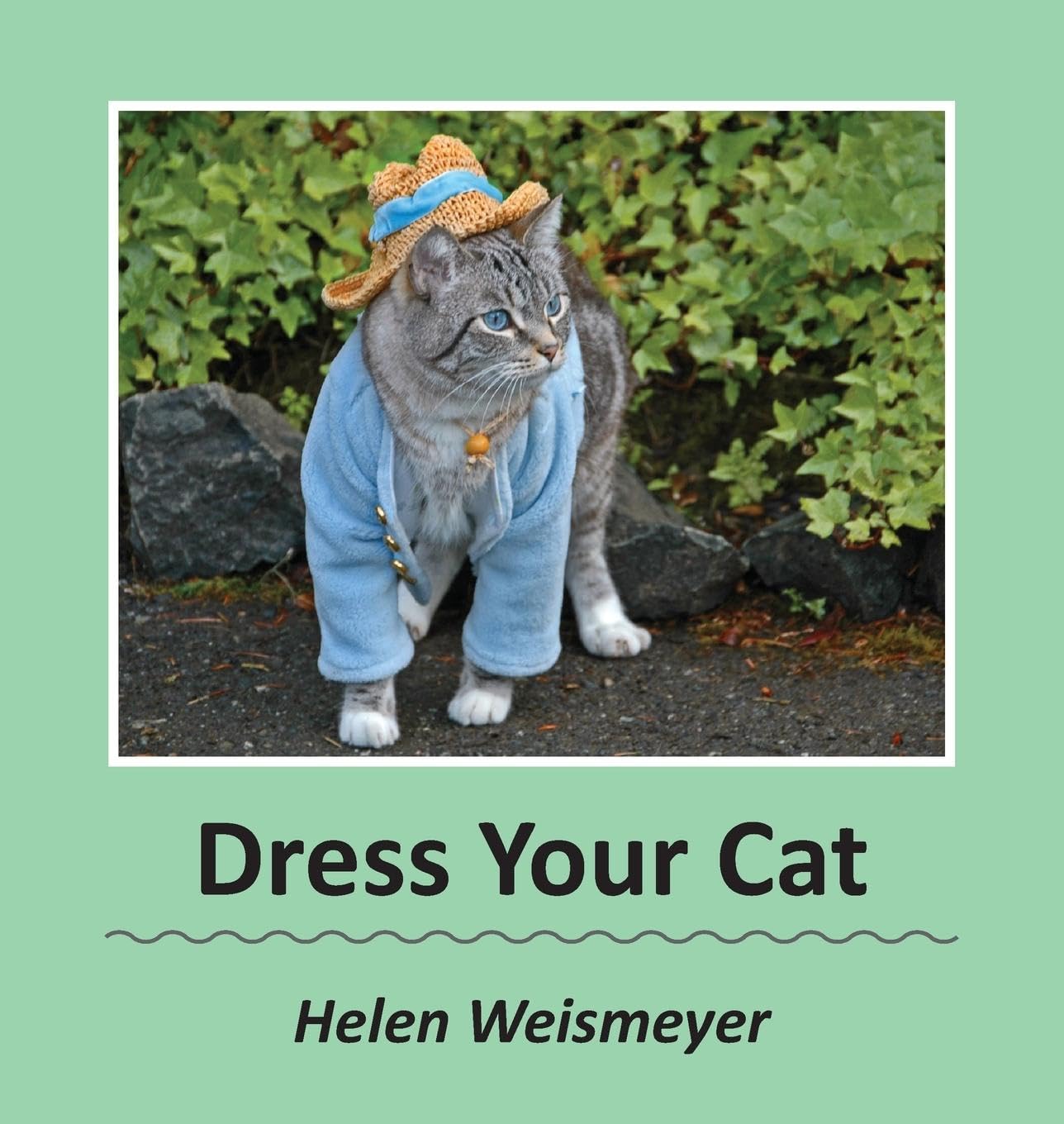 Dress Your Cat Photography