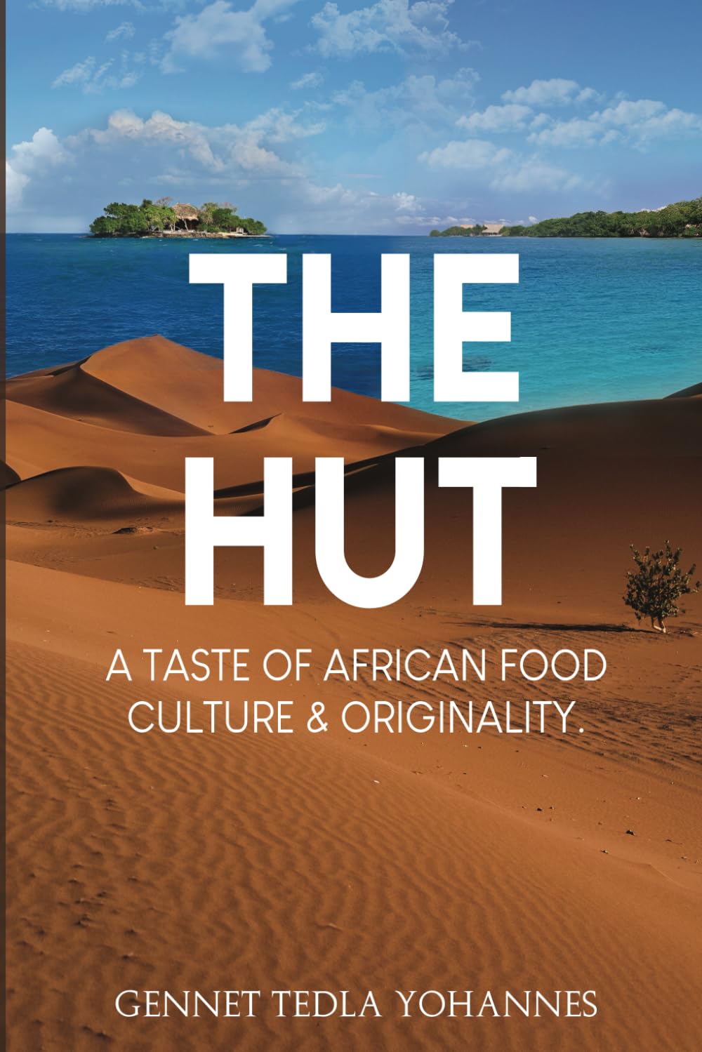 The Hut: A Taste of African Food, Culture & Originality Politics & Society Books