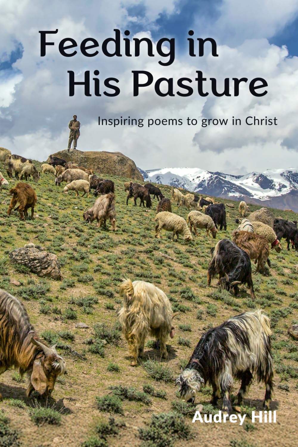 Feeding in His Pasture: Inspiring poems to grow in Christ Religion & Esotericism