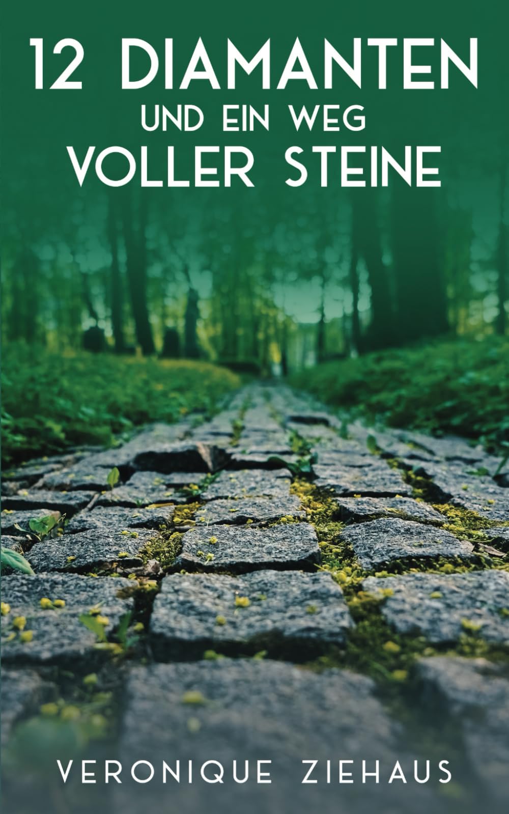 12 DIAMANTEN UND EIN WEG VOLLER STEINE Art & Literature