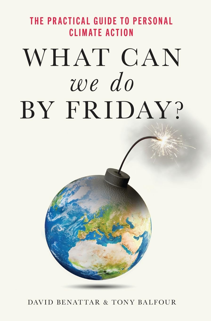 What Can We Do by Friday?: The Practical Guide to Personal Climate Action Business, Finance & Career