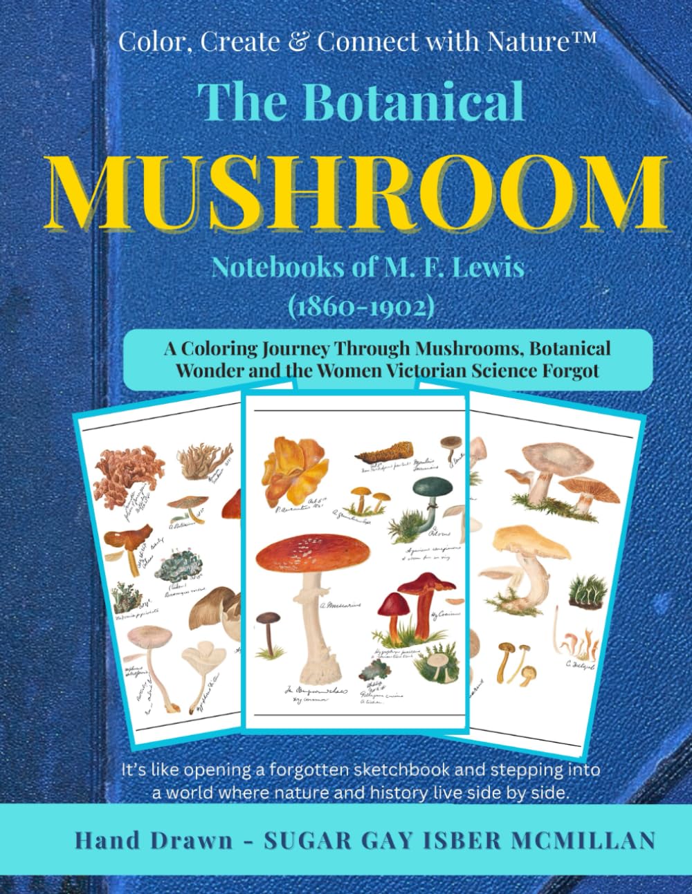 Mushrooms with a Magical Past Rare Botanical Drawings from England, France and Beyond: A Relaxing Coloring Book Inspired by 19th-Century Mushroom ... (Color, Create & Connect with Art History) Film, Art & Culture