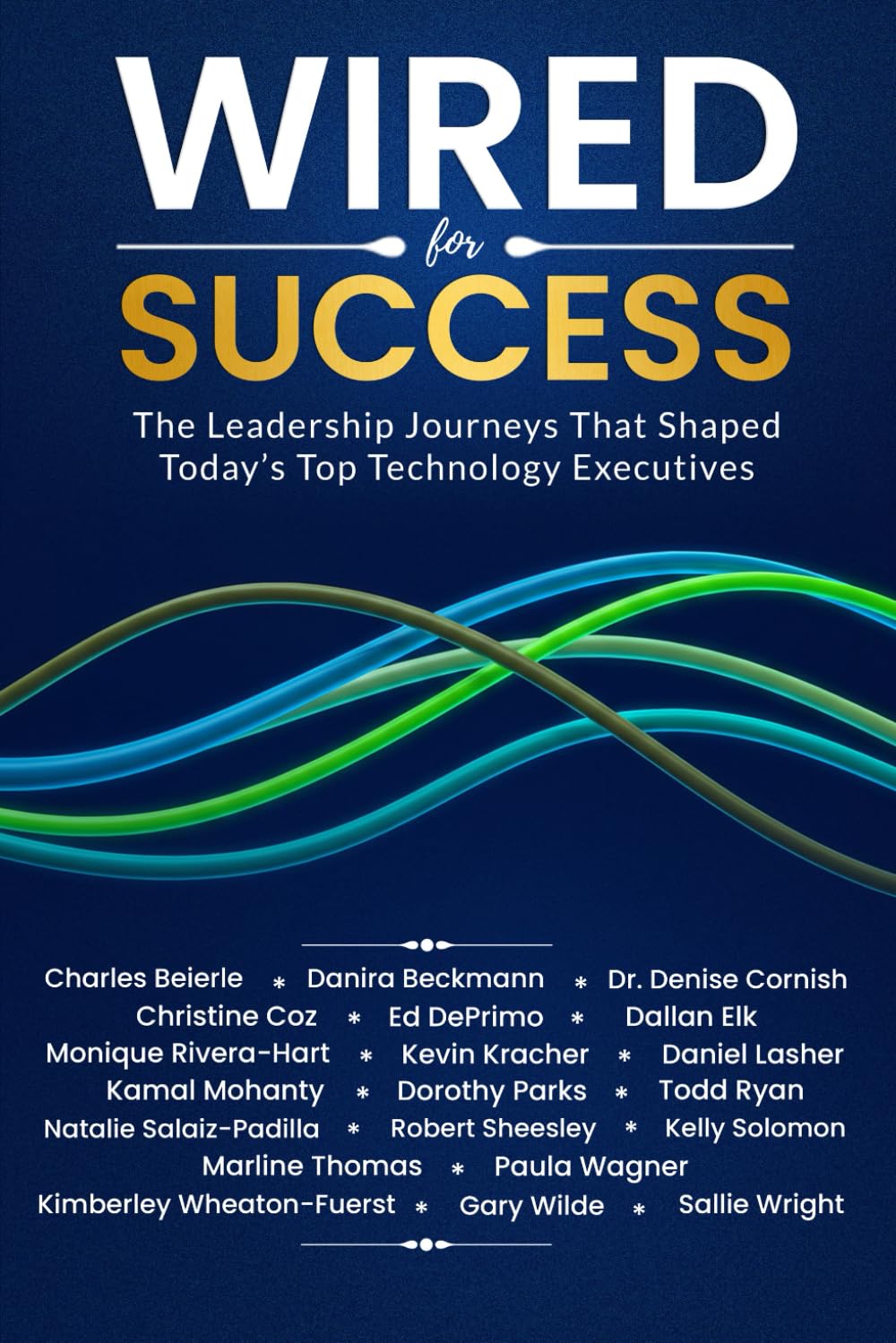 Wired for Success: The Leadership Journeys that Shaped Today's Top Technology Executives Business, Finance & Career