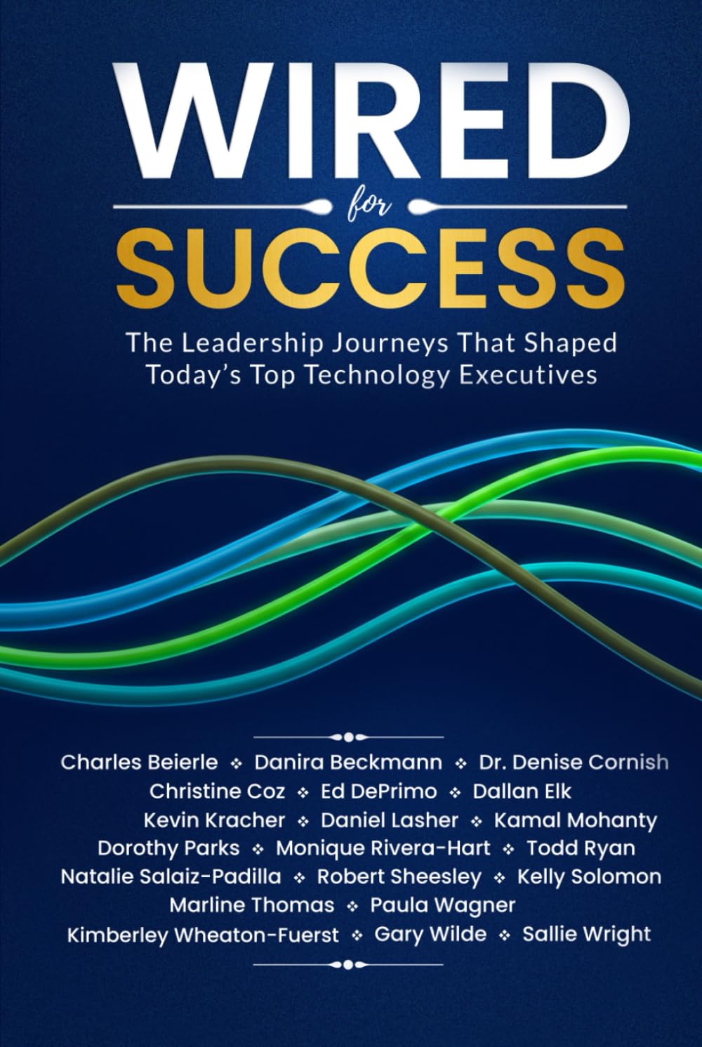 Wired for Success: The Leadership Journeys that Shaped Today's Top Technology Executives Politics & Society