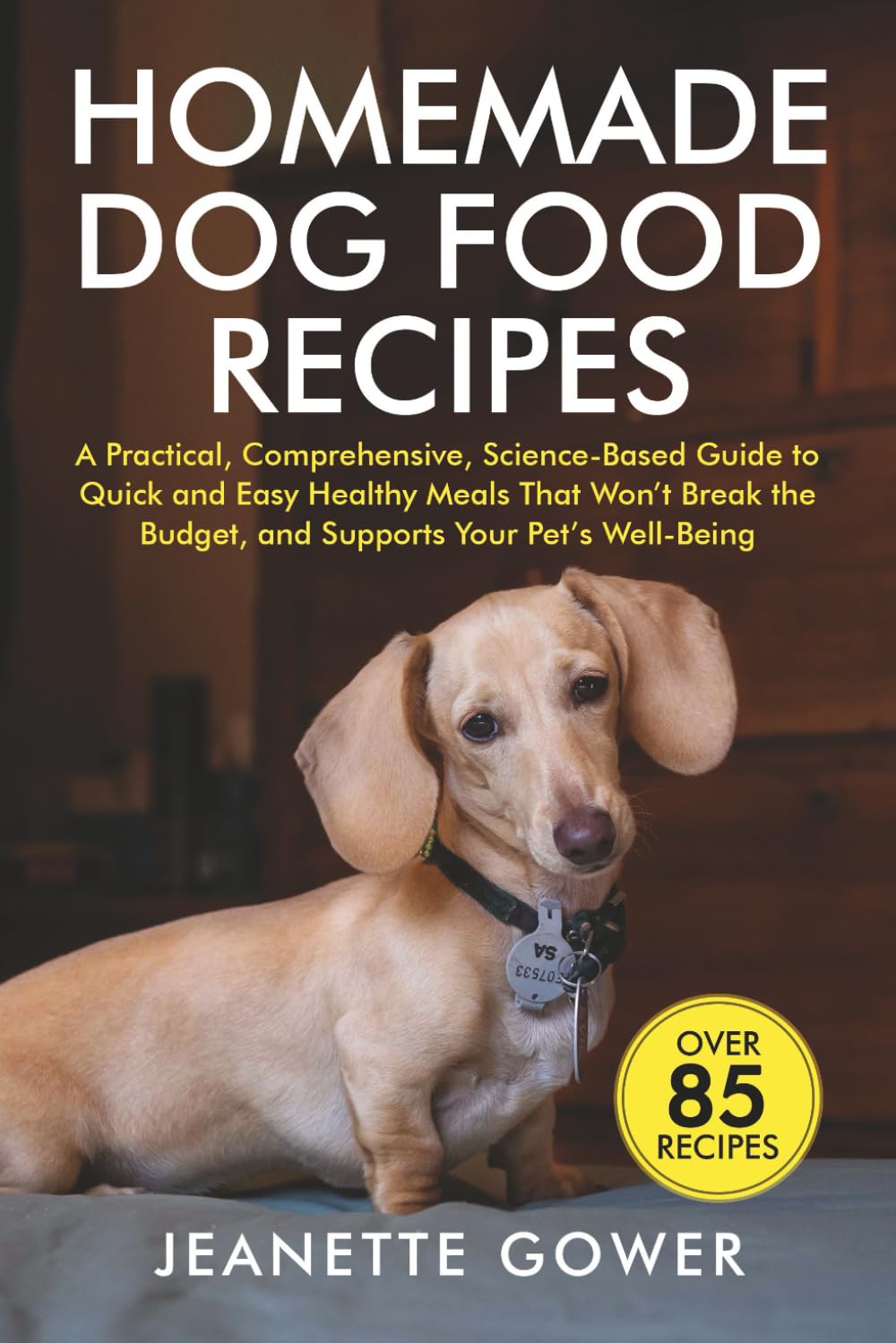Homemade Dog Food Recipes Pets
