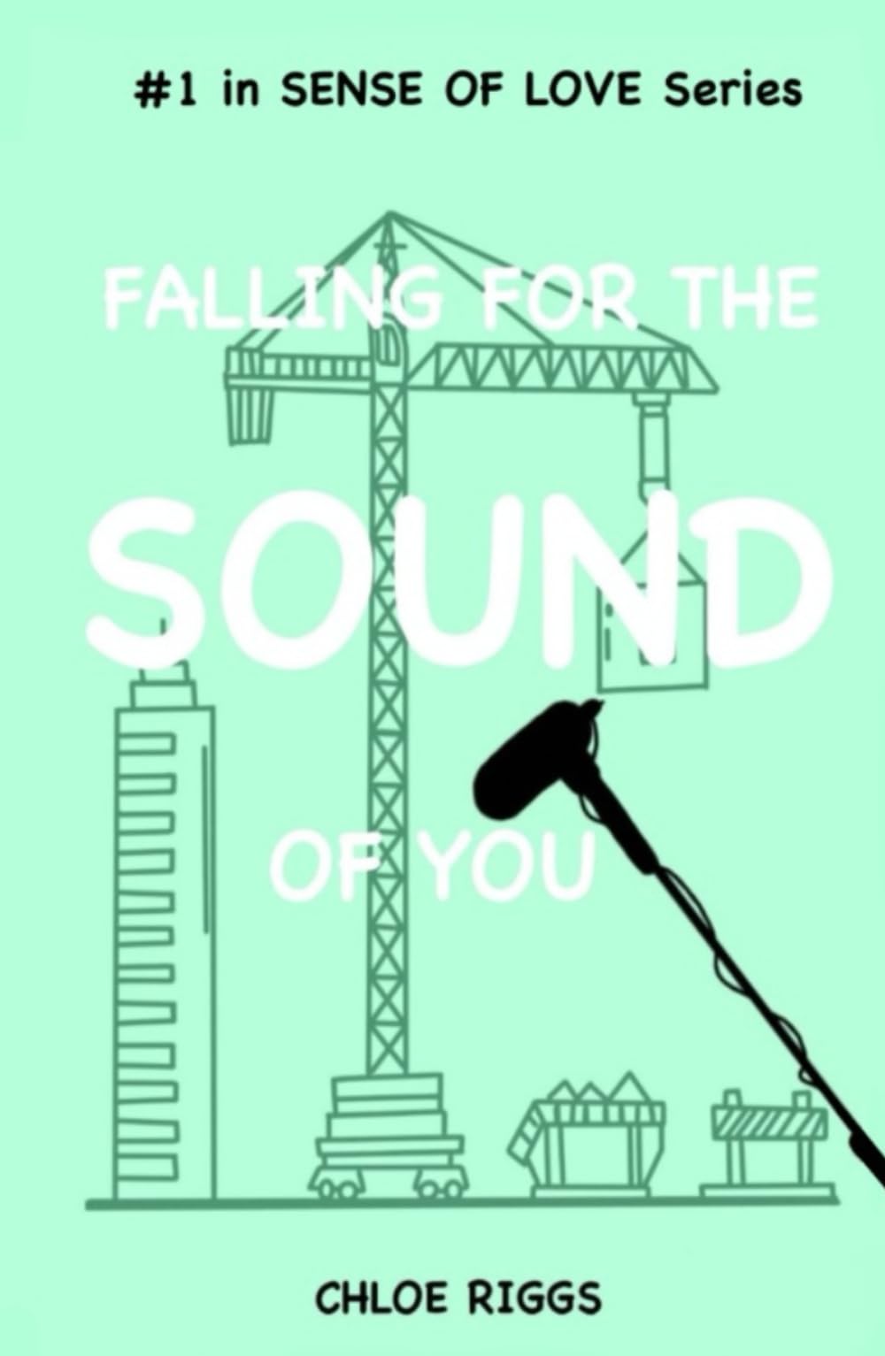 Falling for the Sound of You (Sense of Love, Band 1) New Adult
