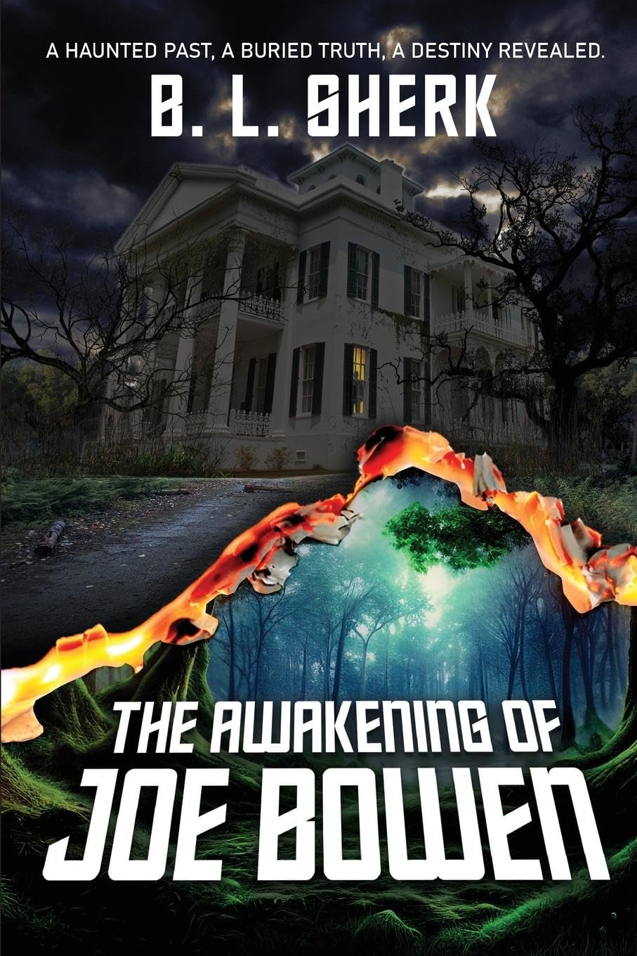 The Awakening of Joe Bowen Contemporary literature