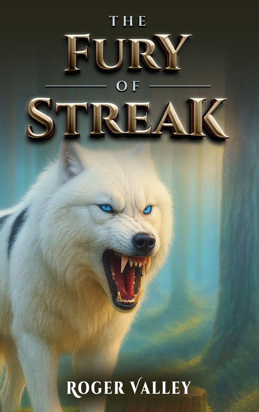 THE FURY OF STREAK Action & Adventure
