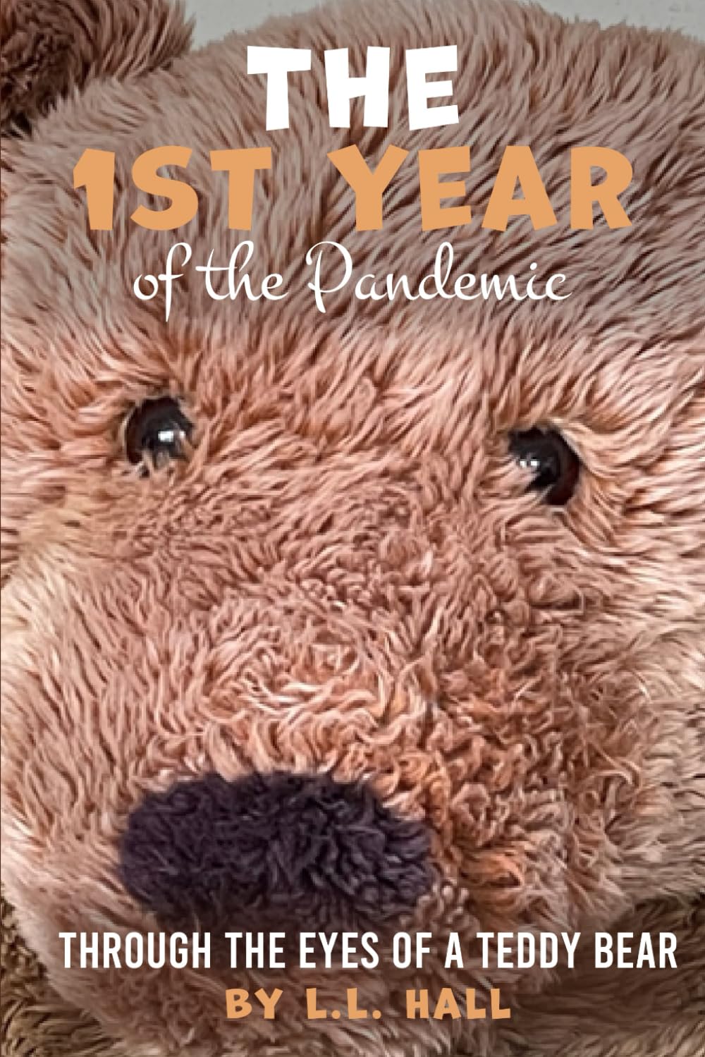 The 1st Year of The Pandemic: Through The Eyes of A Teddy Bear Contemporary literature