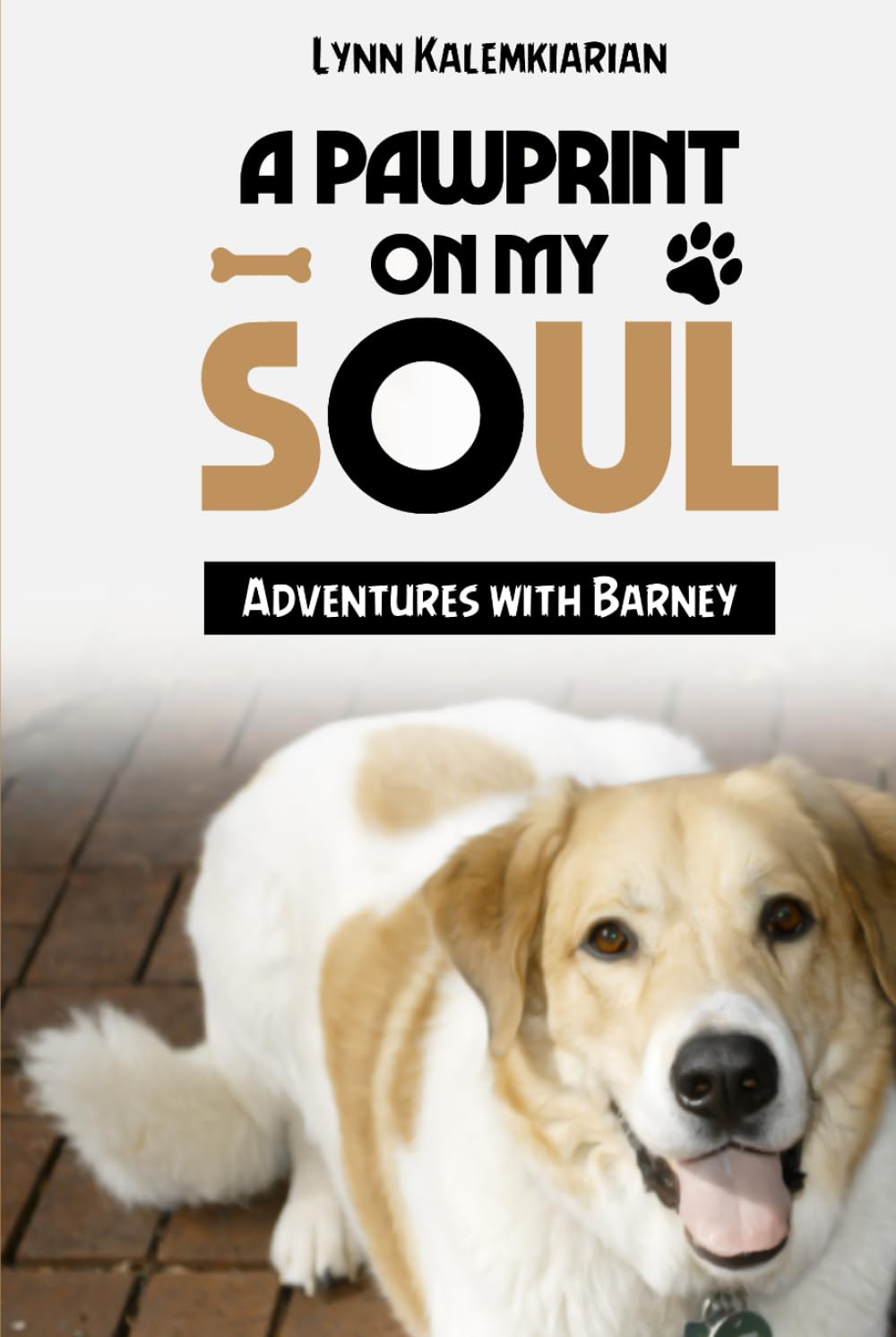 A Pawprint on My Soul Essays & Short Stories