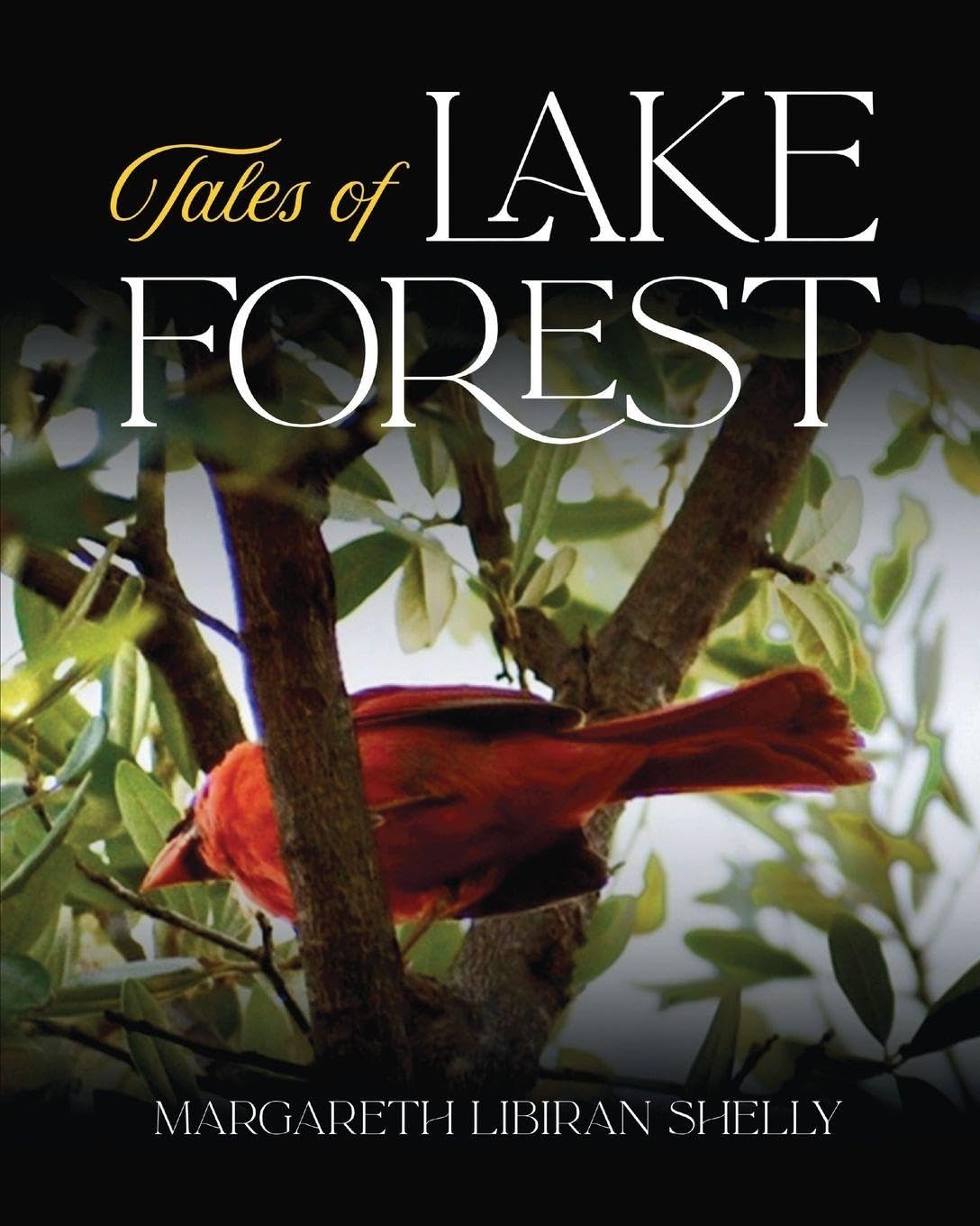 Tales of Lake Forest Film, Art & Culture