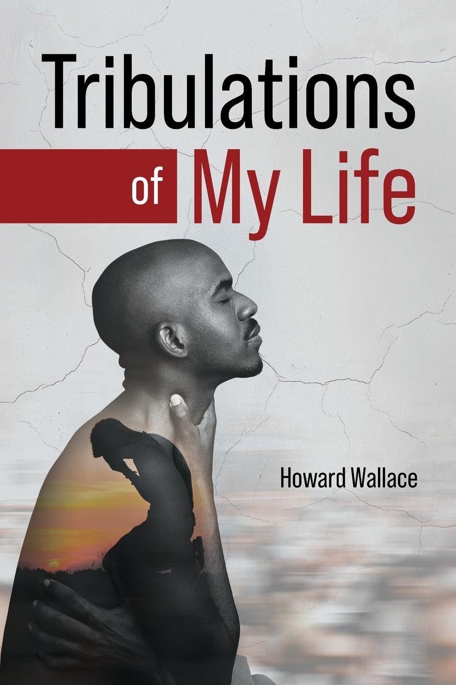 Tribulations of My Life Memories
