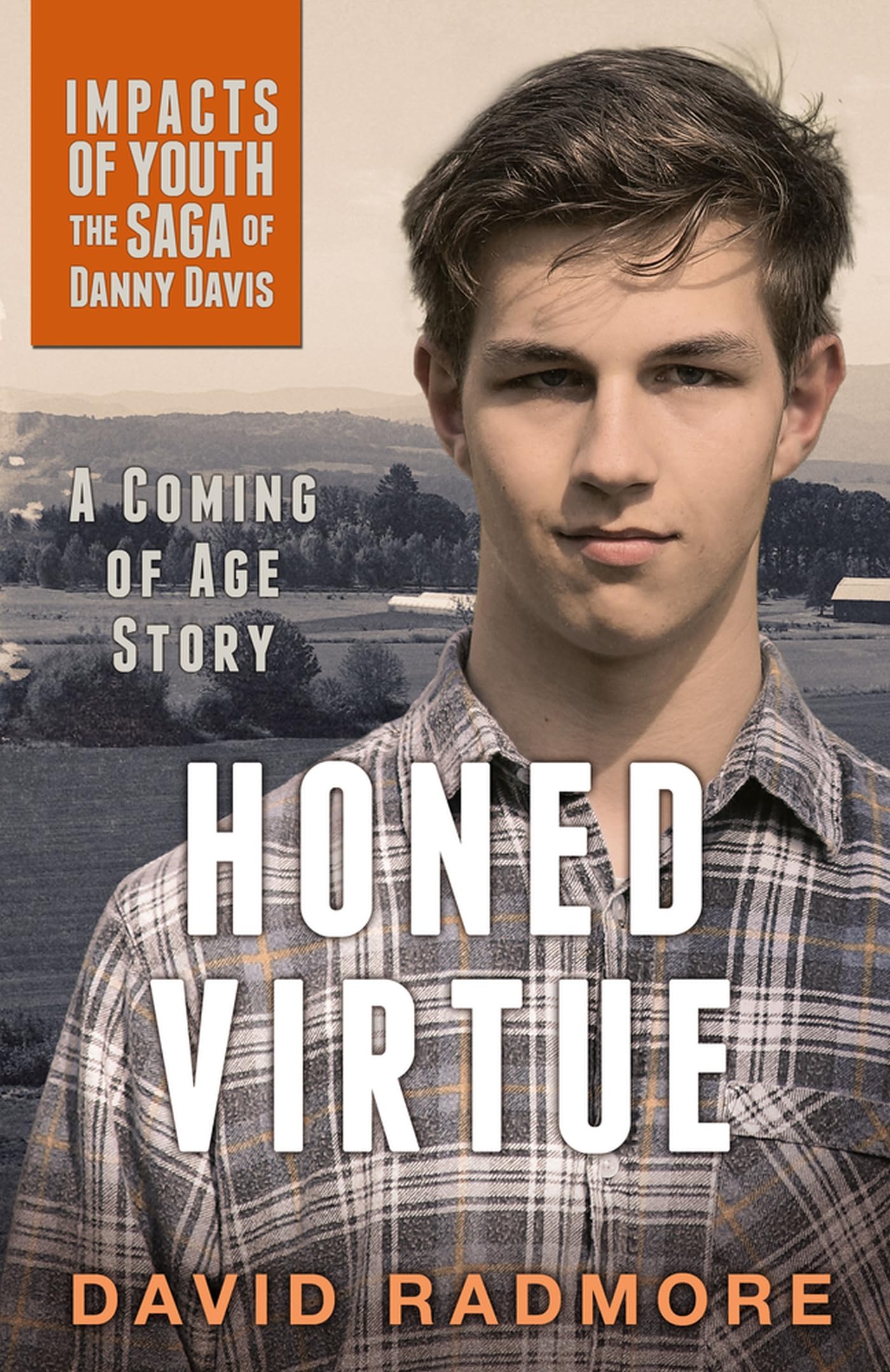 Honed Virtue, a Coming of Age Story: Impacts of Youth (The Saga of Danny Davis) Contemporary literature Books