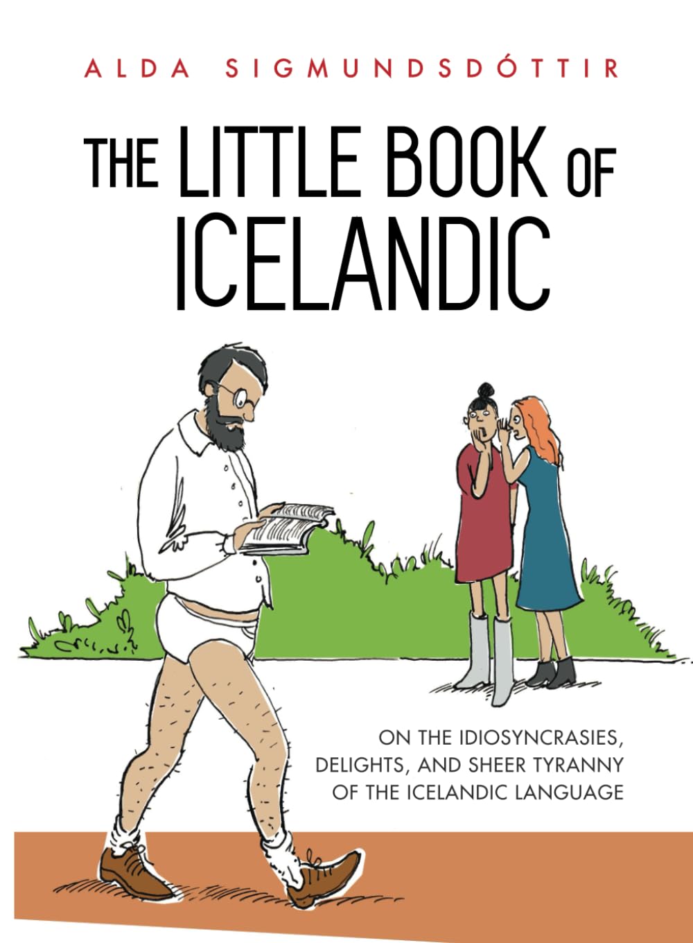 The Little Book of Icelandic: On the idiosyncrasies, delights, and sheer tyranny of the Icelandic language Travel Guides