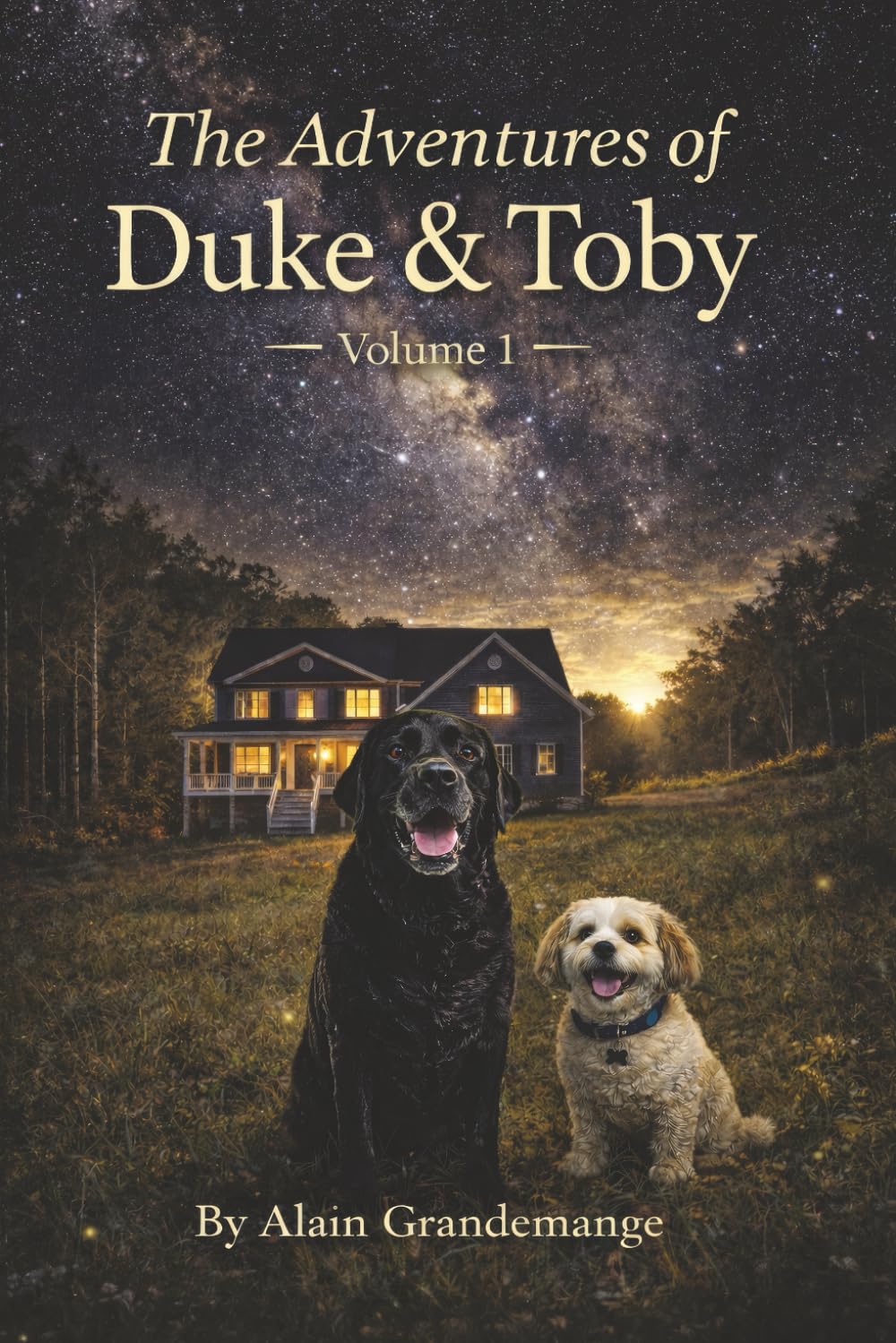 The Adventures Of Duke And Toby Non-fiction