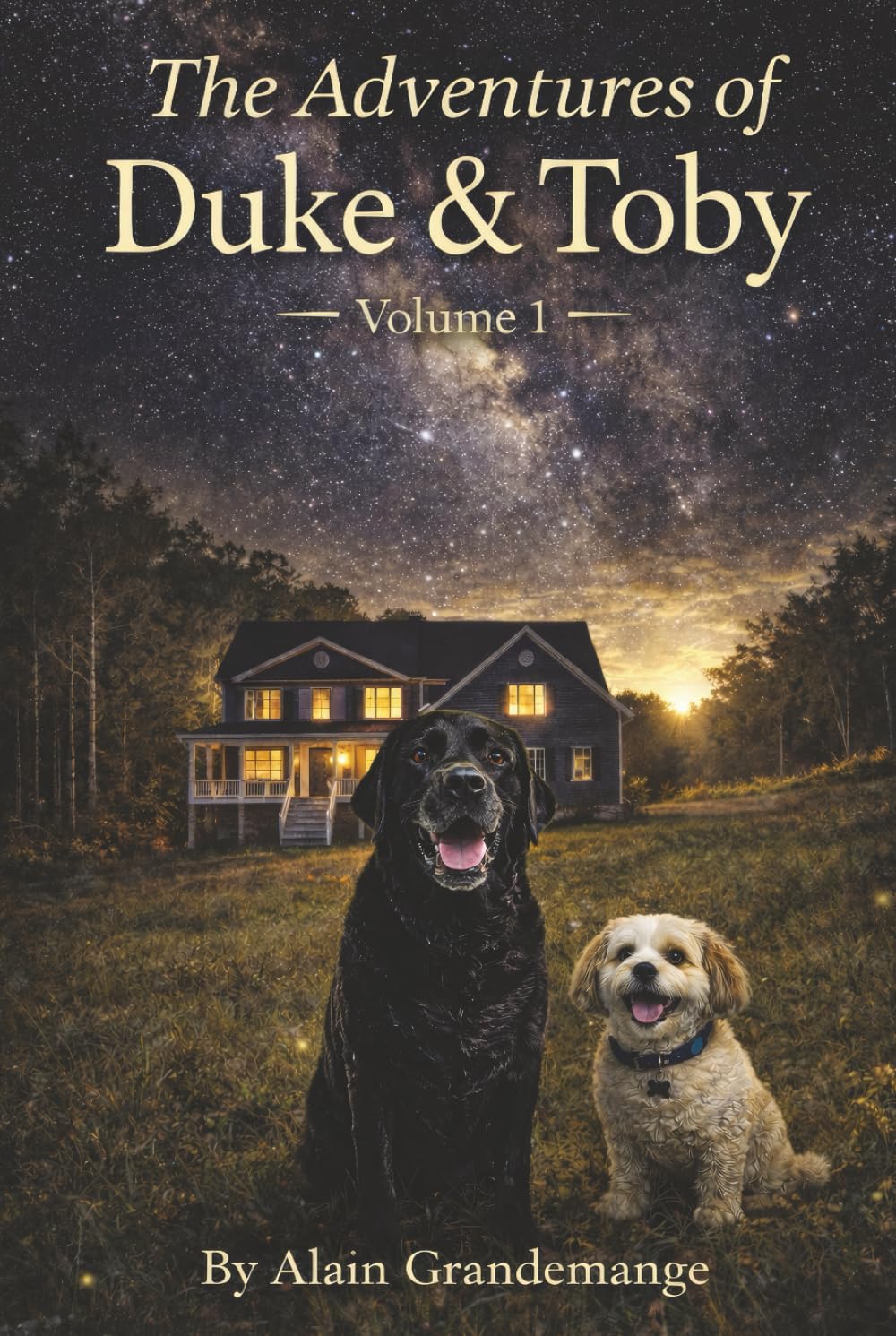 The Adventures Of Duke And Toby Non-fiction