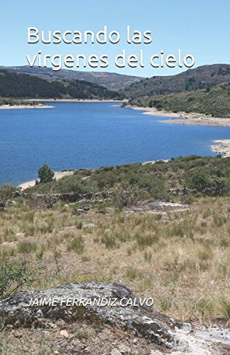 Buscando las virgenes del cielo Contemporary literature