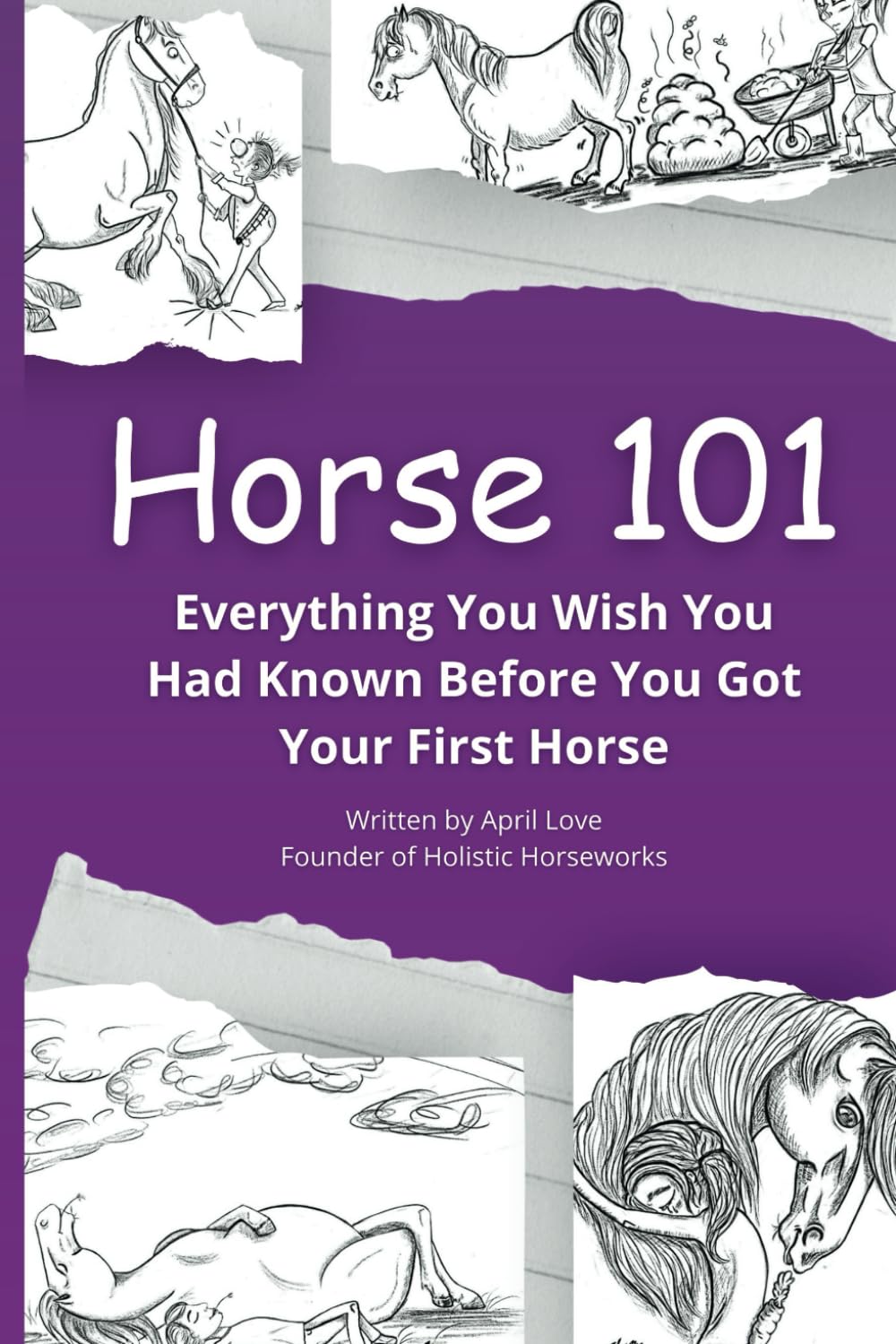 Horse 101: Everything You Wish you Had Known Before You Got Your First Horse (Holistic HorseWorks Remedies Books, Band 1) Pets