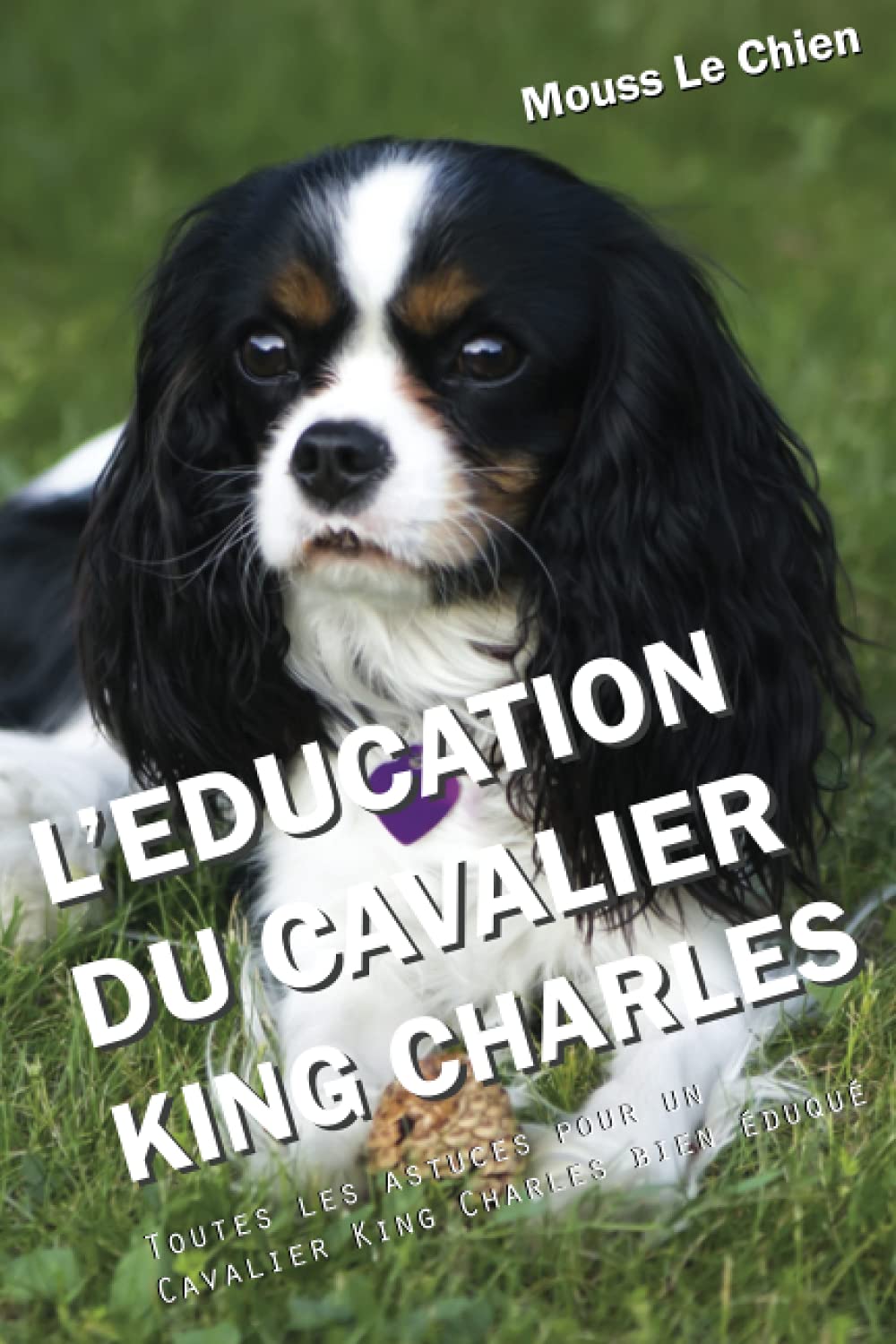 L'EDUCATION DU CAVALIER KING CHARLES: Toutes les astuces pour un Cavalier King Charles bien éduqué Pets