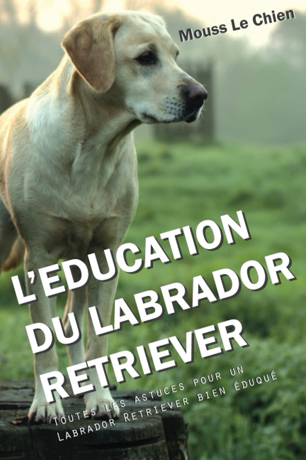 L'EDUCATION DU LABRADOR RETRIEVER: Toutes les astuces pour un Labrador Retriever bien éduqué Pets