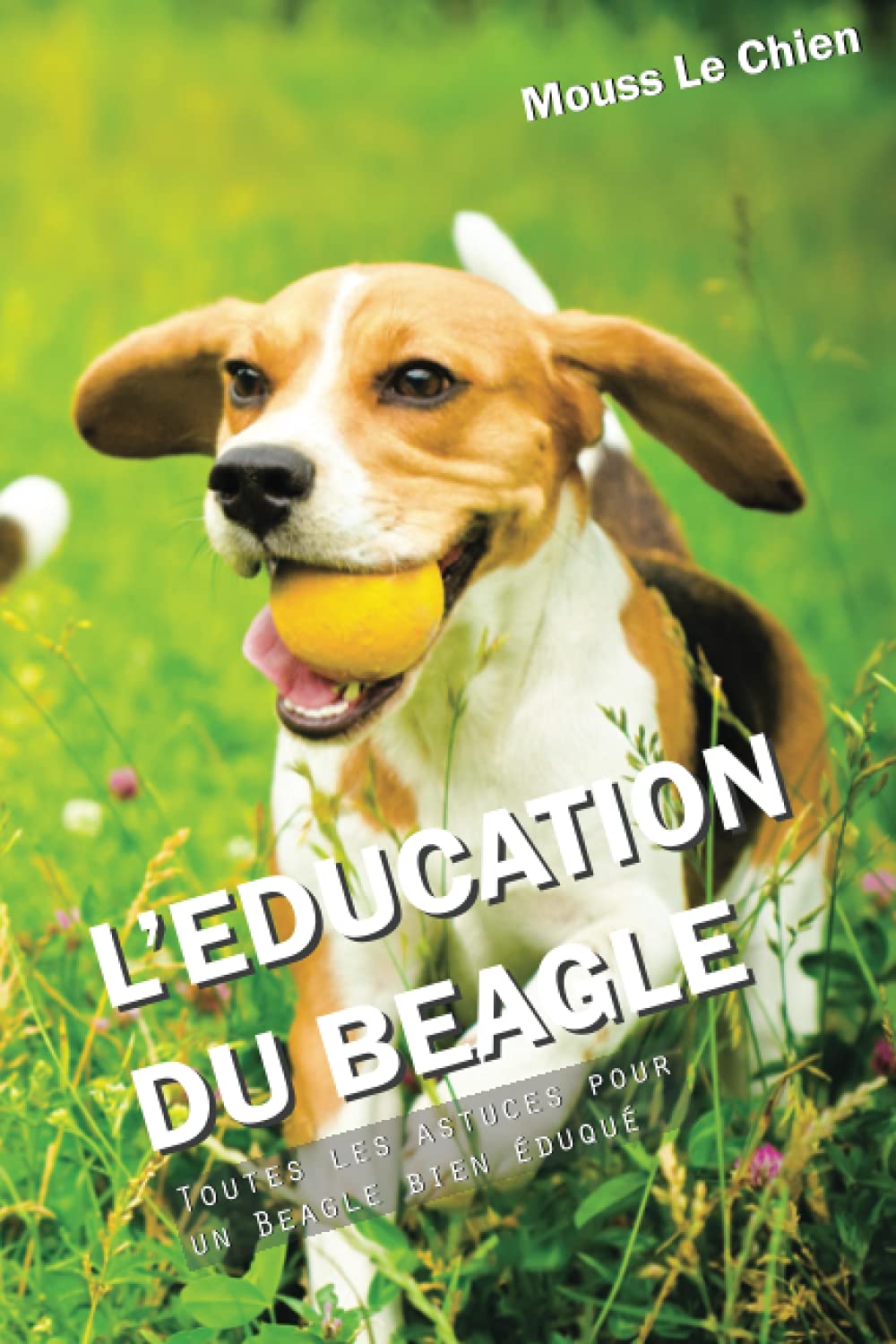 L'EDUCATION DU BEAGLE: Toutes les astuces pour un Beagle bien éduqué Pets