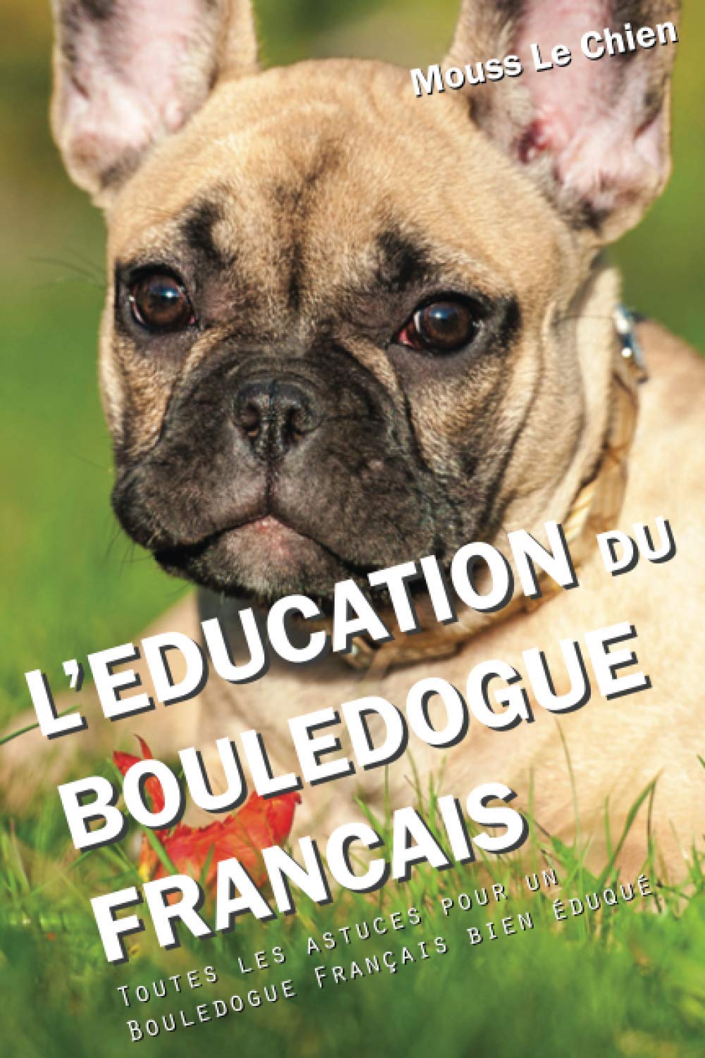 L'EDUCATION DU BOULEDOGUE FRANÇAIS: Toutes les astuces pour un Bouledogue Français bien éduqué Pets