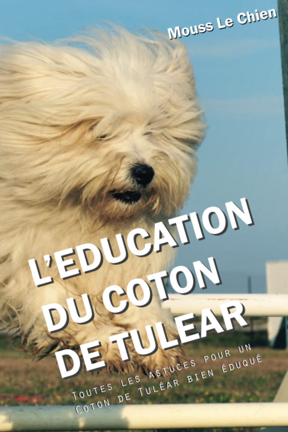 L'EDUCATION DU COTON DE TULEAR: Toutes les astuces pour un Coton de Tuléar bien éduqué Pets