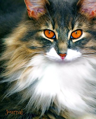 Journal: Cat with Orange Eyes (Cat Journals Collection, Band 4) Pets