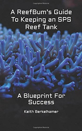 A ReefBum’s Guide To Keeping an SPS Reef Tank: A Blueprint For Success Pets