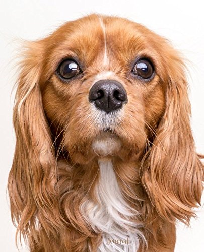 Journal: Cavalier King Charles Spaniel (Cavalier King Charles Spaniel Collection, Band 11) Pets
