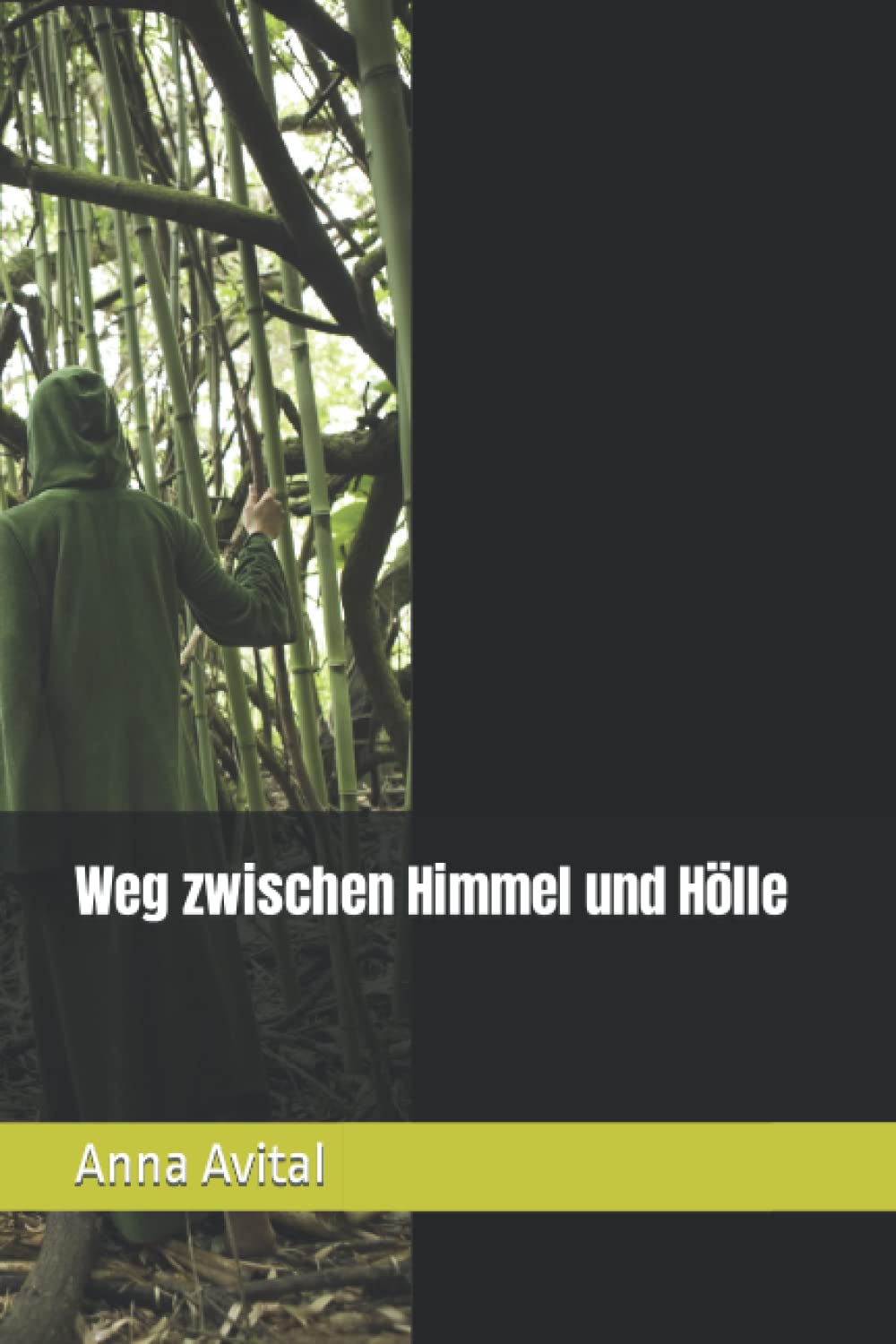 Weg zwischen Himmel und Hölle Contemporary literature