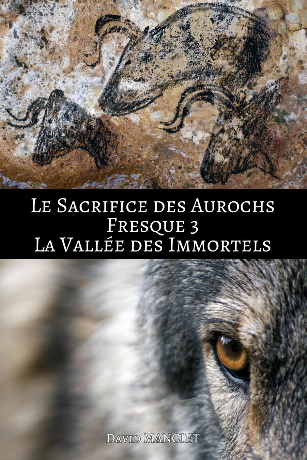 La vallée des Immortels: Le Sacrifice des Aurochs : Fresque III book