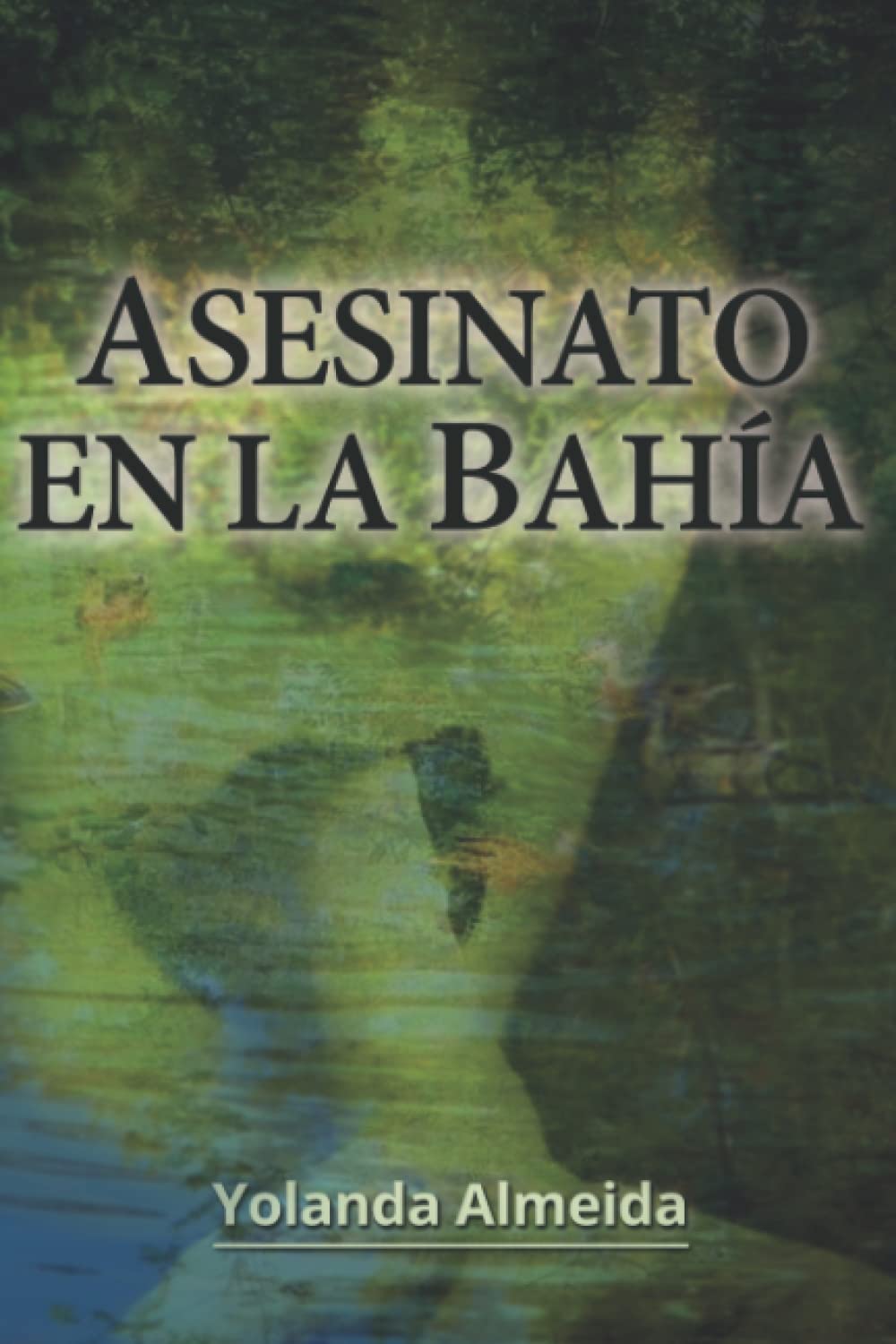 Asesinato en la bahía book