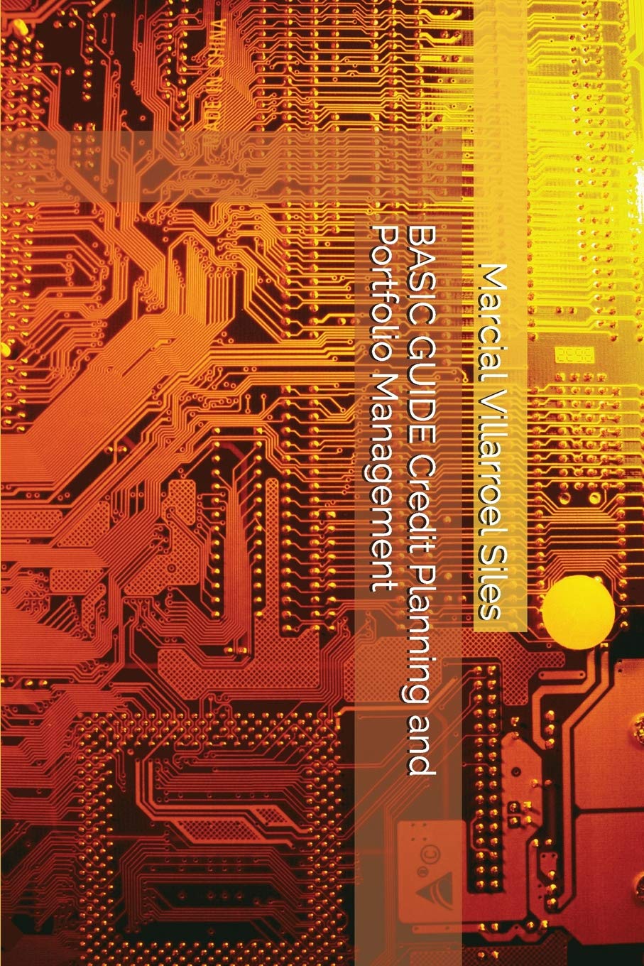 BASIC GUIDE Credit Planning and Portfolio Management (Analysis of Credit Risk, Band 3) Business, Finance & Career