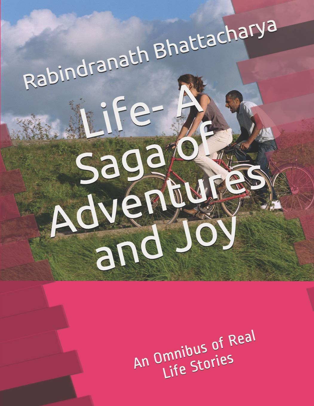 Life - A saga of adventures and joy: An omnibus of real life stories (Short Stories, Band 2) Contemporary literature