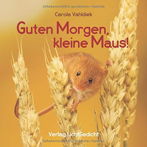 Guten Morgen, kleine Maus!: Eine Geschichte zum Fröhlichsein (Reihe: Märchen von der kleinen Maus) Novels & Short Stories