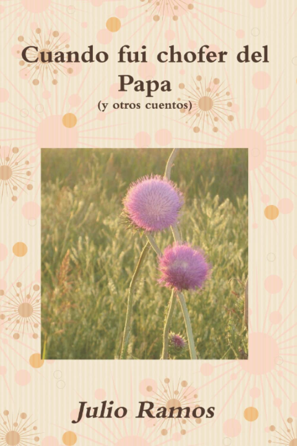 Cuando fui chofer del Papa: y otros cuentos Contemporary literature
